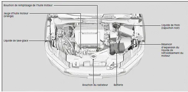 Éléments d'entretien sous le capot 