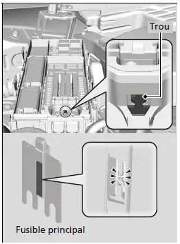 Inspection et remplacement des fusibles