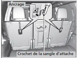 Type à sangle d'attache supérieure droite