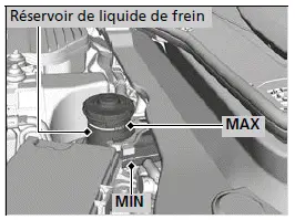 Vérification du liquide de frein