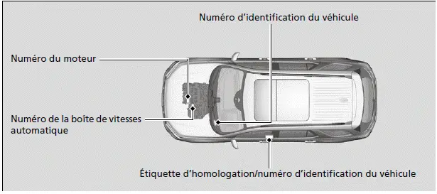 Numéro d'identification du véhicule (NIV), numéro du moteur et numéro de la boîte de vitesses